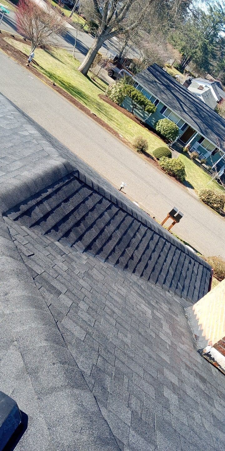 home exteriors - Roofing